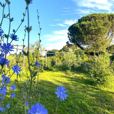 Ch1- Manoir Du Moulinier - Campagne - Calme - Petit-dej Inclus - Table D'hote Sur Reservation - Parking Gratuit