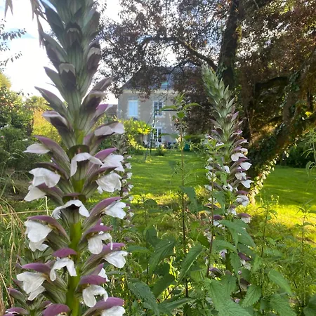 Bed & Breakfast Ch1- Manoir Du Moulinier - Campagne - Calme - Petit-dej Inclus - Table D'hote Sur Reservation - Parking Gratuit La Limouziniere (Loire-Atlantique)