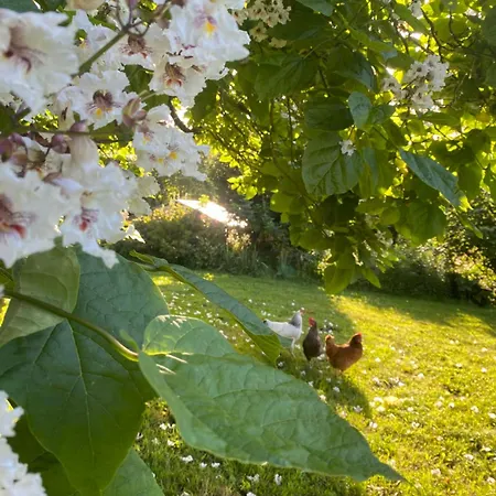 Bed & Breakfast Ch1- Manoir Du Moulinier - Campagne - Calme - Petit-dej Inclus - Table D'hote Sur Reservation - Parking Gratuit 3*