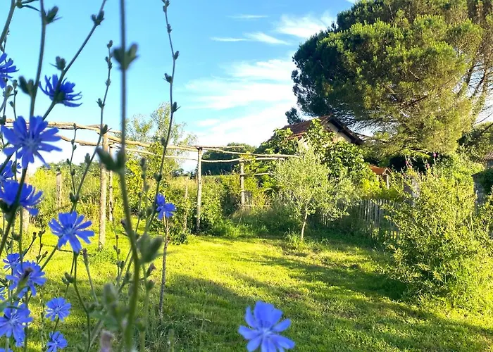 Ch1- Manoir Du Moulinier - Campagne - Calme - Petit-déj Inclus - Table D'hôte Sur Réservation - Parking Gratuit