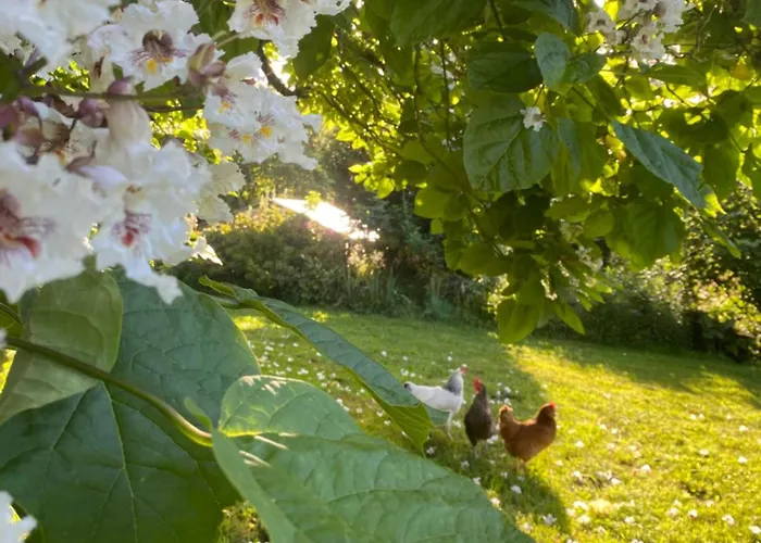 Couette-café Ch1- Manoir Du Moulinier - Campagne - Calme - Petit-déj Inclus - Table D'hôte Sur Réservation - Parking Gratuit 3*